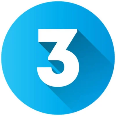 3
