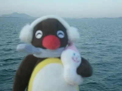 32 Follower Celebration!!!