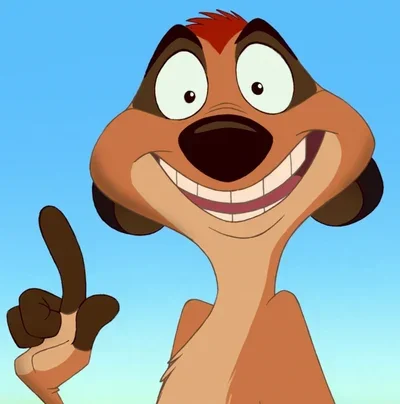 Timon L Berkowitz