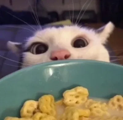 50 followers!!! 💗