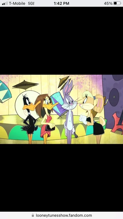 The Looney Gang