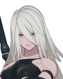 A2
