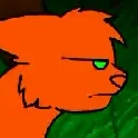 Warrior Cat