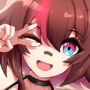 Rakkun VT