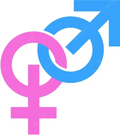 Gender swap AI