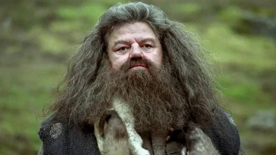 Hagrid from Hogwarts