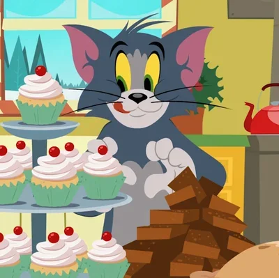 Tom D Cat
