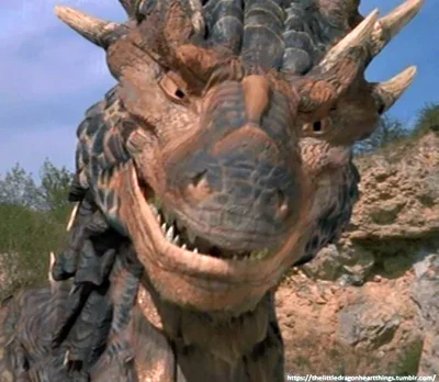 Draco the Dragon