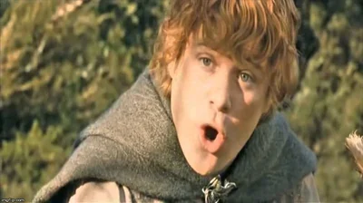 Samwise Gamgee