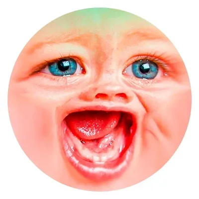 Mrdweller bot
