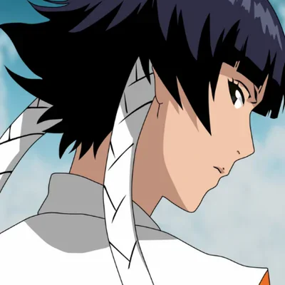 Soi fon