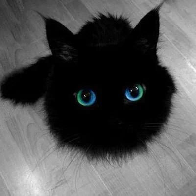 Monster under ur bed