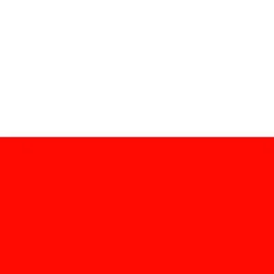 polish person
