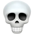 Skeleton