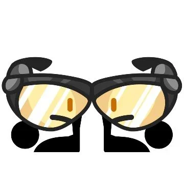 sunglasses
