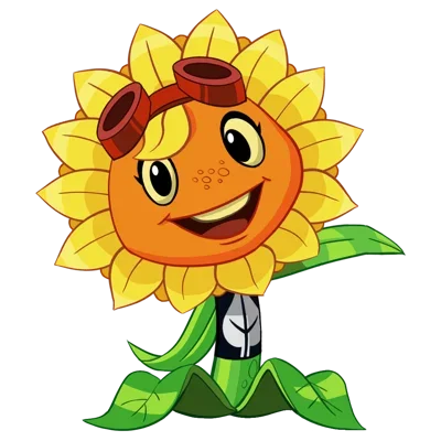 Solar Flare