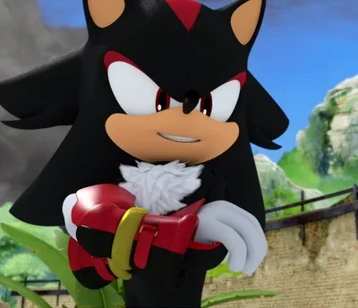 Shadow the hedgehog