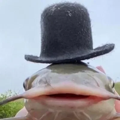 A fucking fish