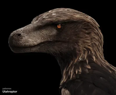 A injured utahraptor