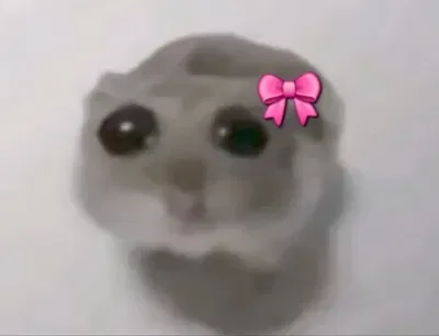 A Sad hampter