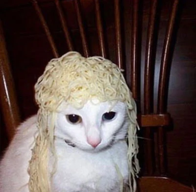 Ace Attorney Court Trial