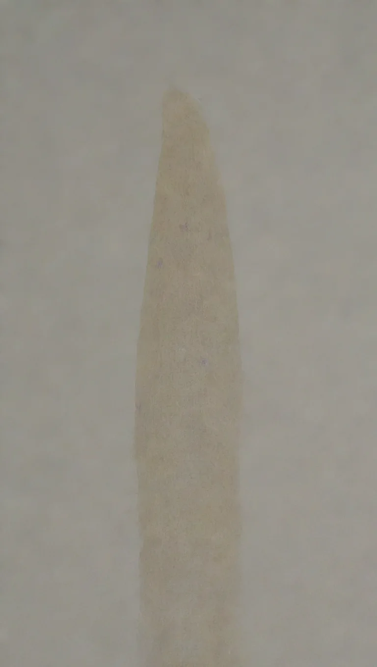 ai1 2 3 4 4 5  tall