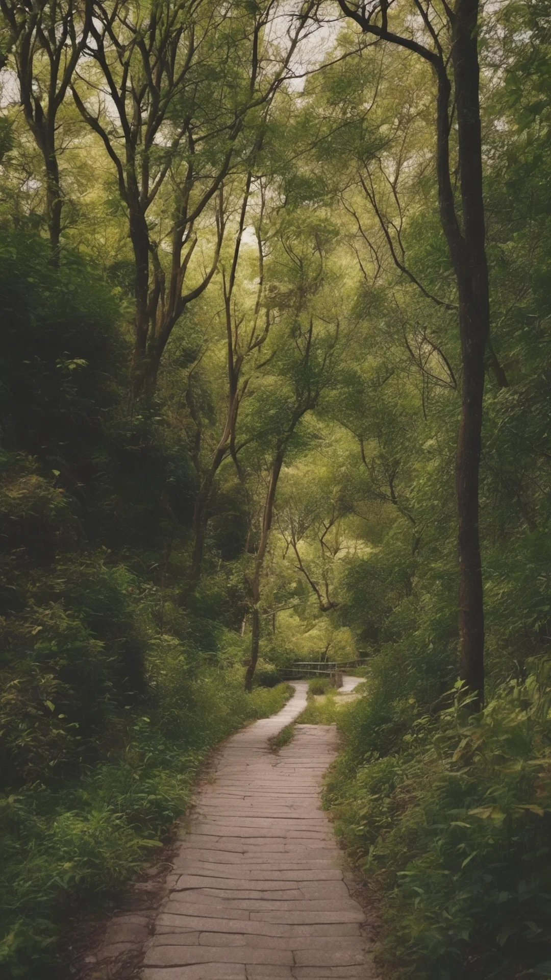 aibeautiful scenery amazing land peaceful lowfi relaxing pathway tall