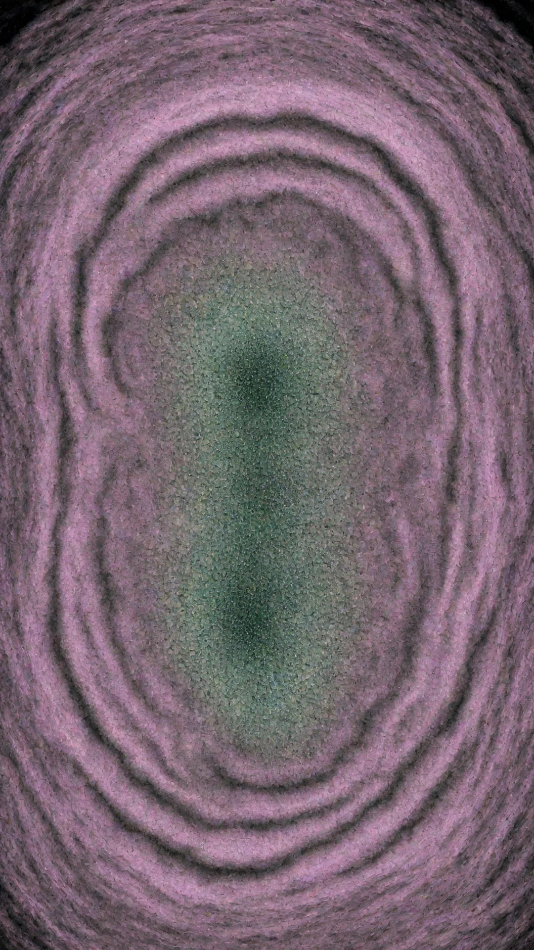hypnotic tall