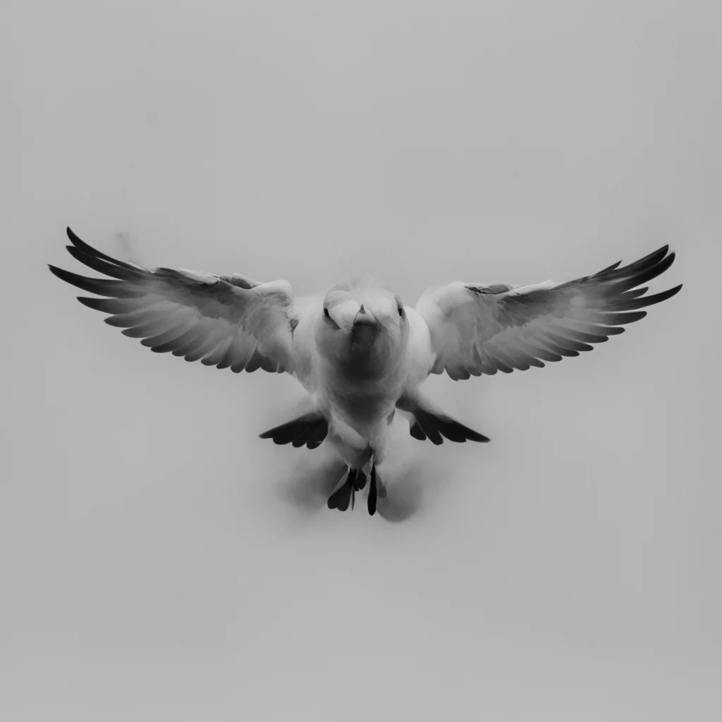 swift united good looking trending fantastic 1