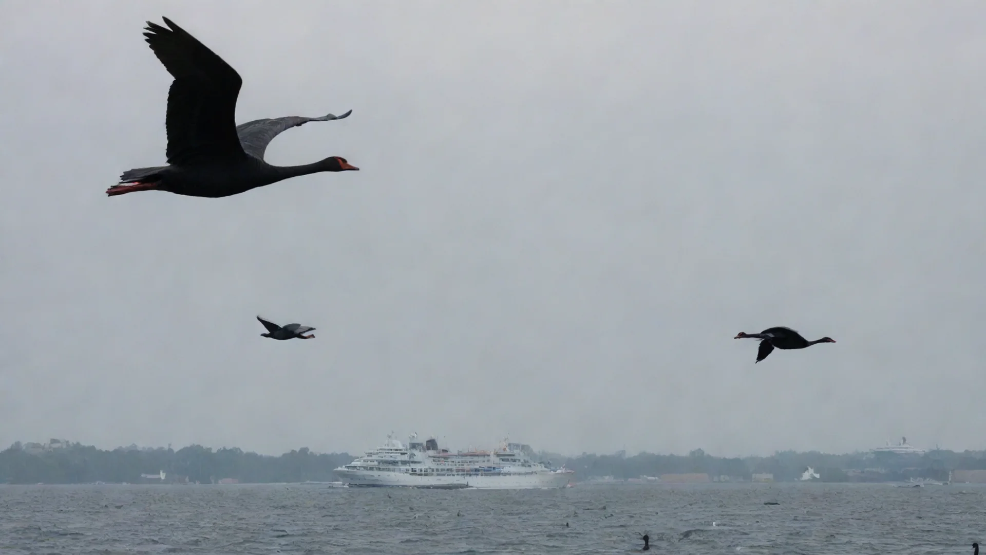 aitrending black swans flying over a ship good looking fantastic 1 hdwidescreen
