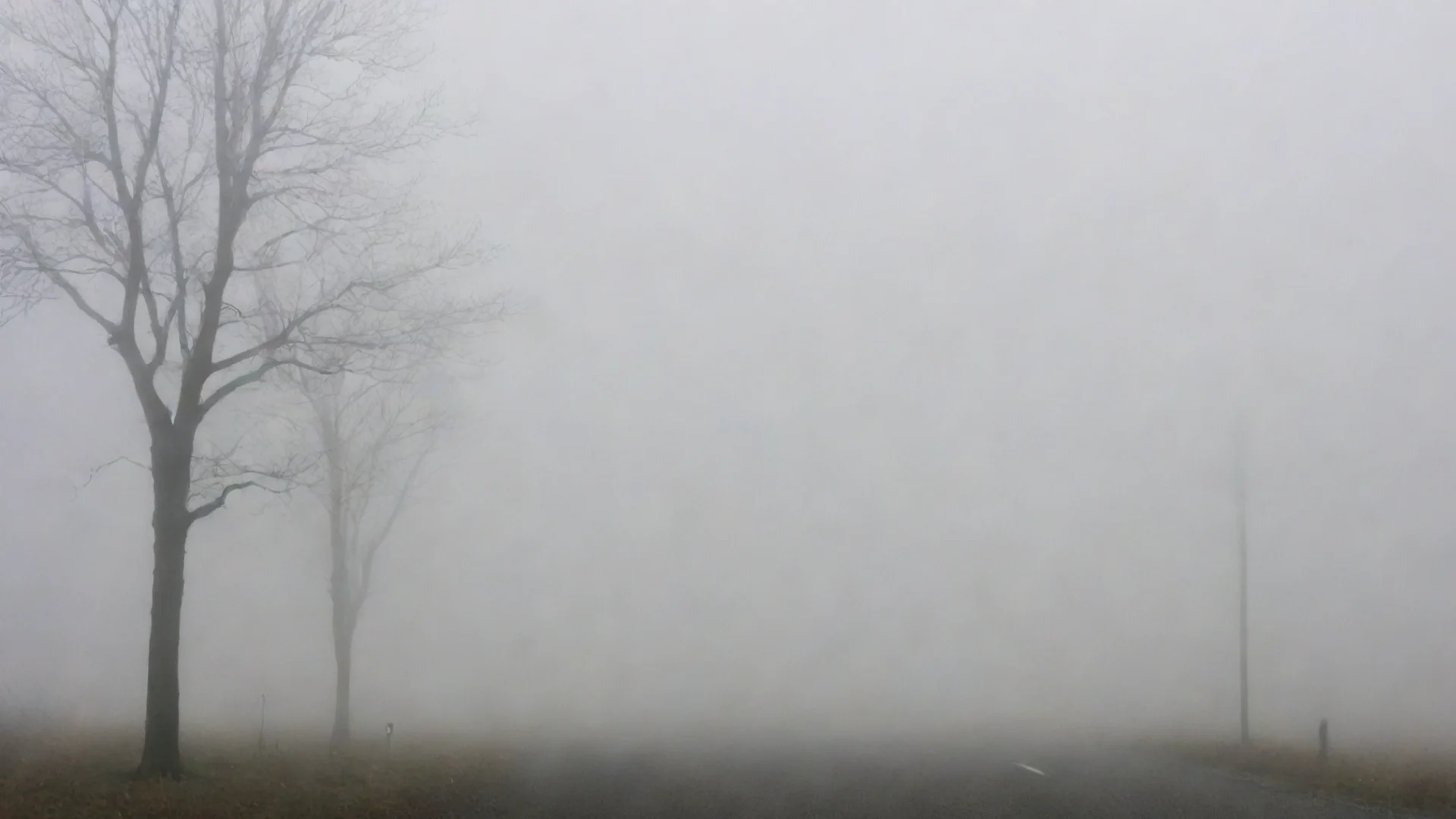 trending foggy good looking fantastic 1 wide