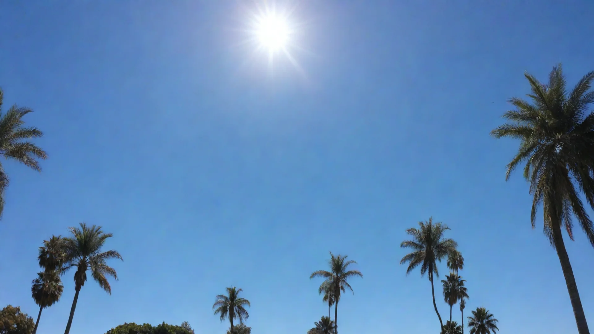 trending la clear blue sky at noon good looking fantastic 1 wide