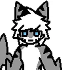 Alex, a tiger shark