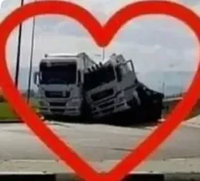 All my OC's for sum reason