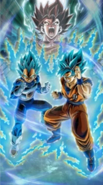 (ALL-OUT FINAL BATTLE) LR SUPER AGL SSGSS GOKU & VEGETA
