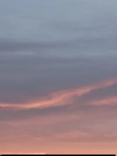 Announcement. (Please read it)