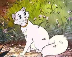 Aristo Cats | Duchess