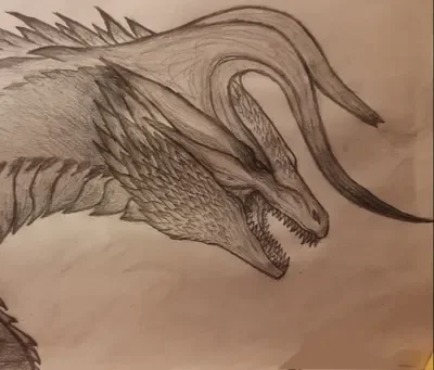 Arkarra (Wyvern/Dragon)