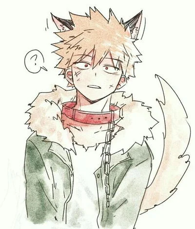 Bakugou (catboy)