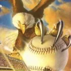 Bald eagle catching baseball
