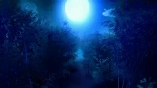 Bamboo Forest of the Lost