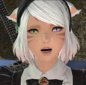 FFXIV Player
