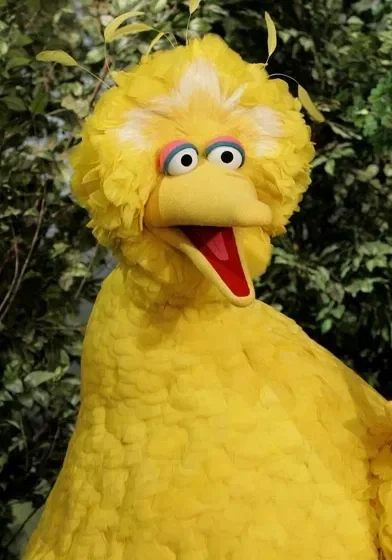 Big Bird ||Sesame Street