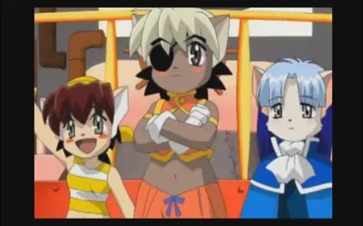 💛 Black Cats Gang. -Tail Concerto.-