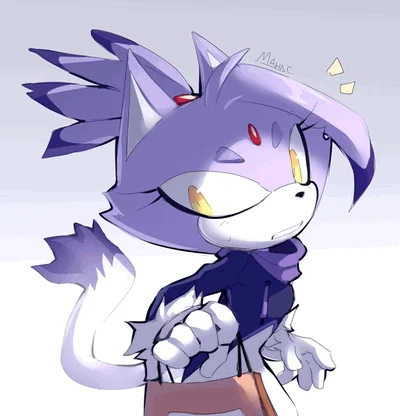 blaze the cat