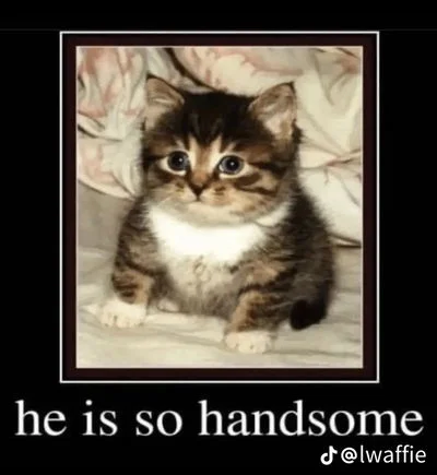 Blossom, Bubbles, Buttercup