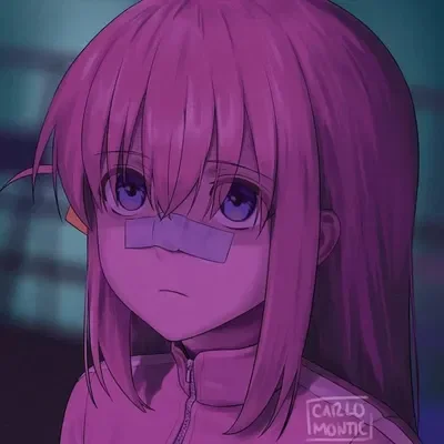 Bocchi the erm what the sigma