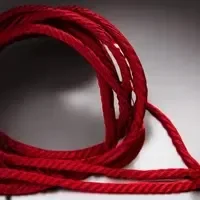 Bondage