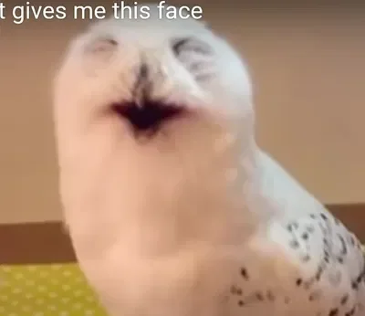 BOT SUGGESTIONS!!1! (Incredibox only-)