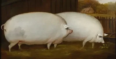 Brother, May I Have Some Oats?